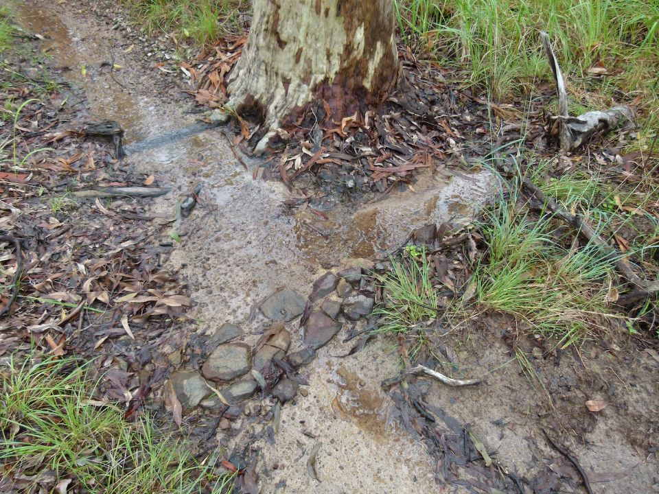 This is embedded rock and not a drain