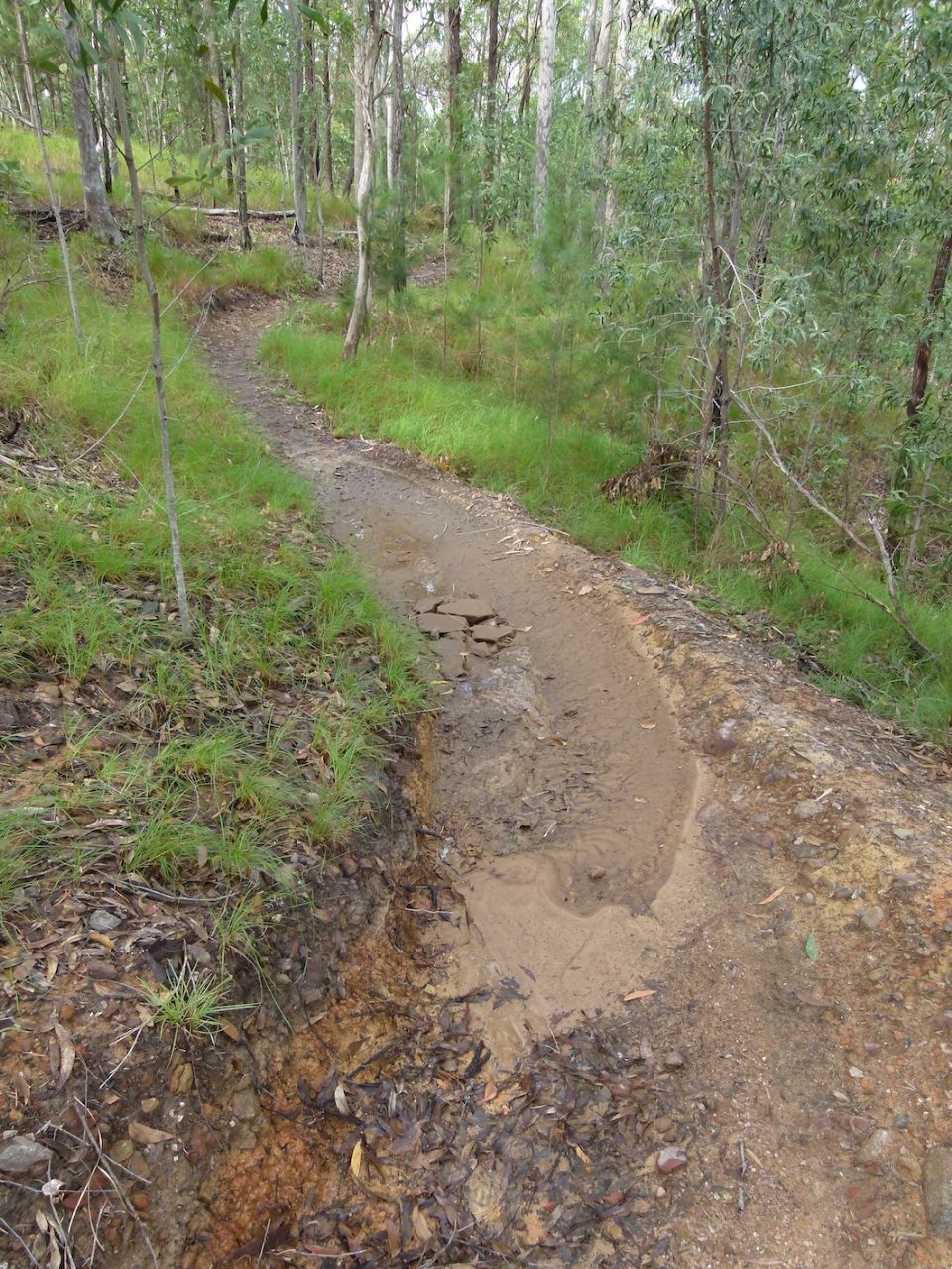 After heavy rain