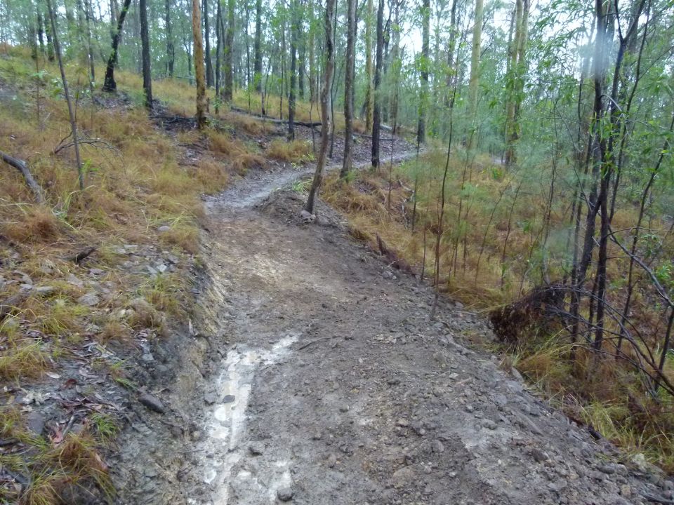 New exit and reverse grade drain