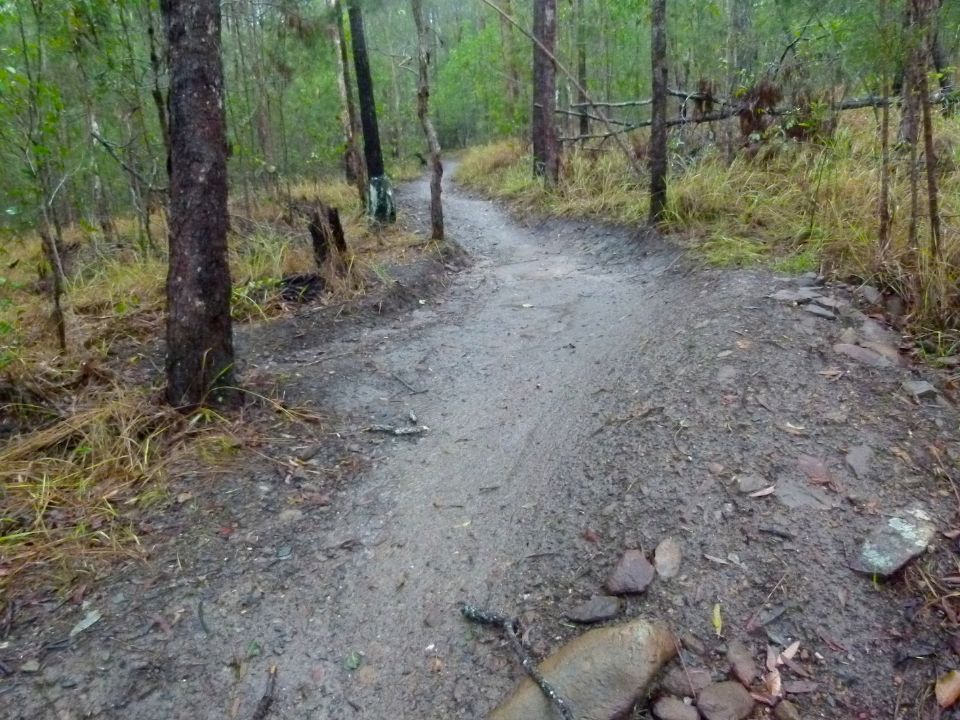 Berm solid and drain draining