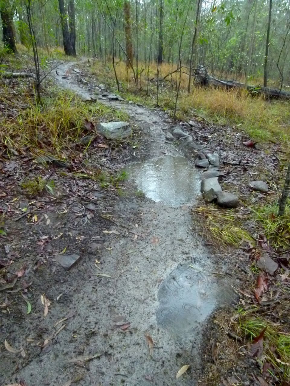 Bad trail design