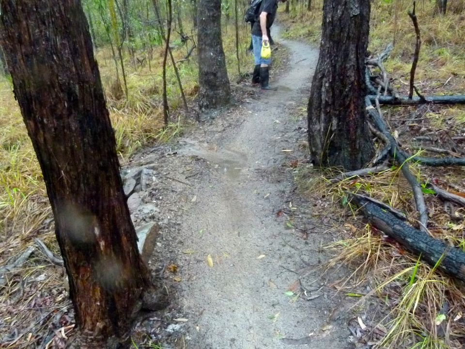 Tricky drainages doing OK