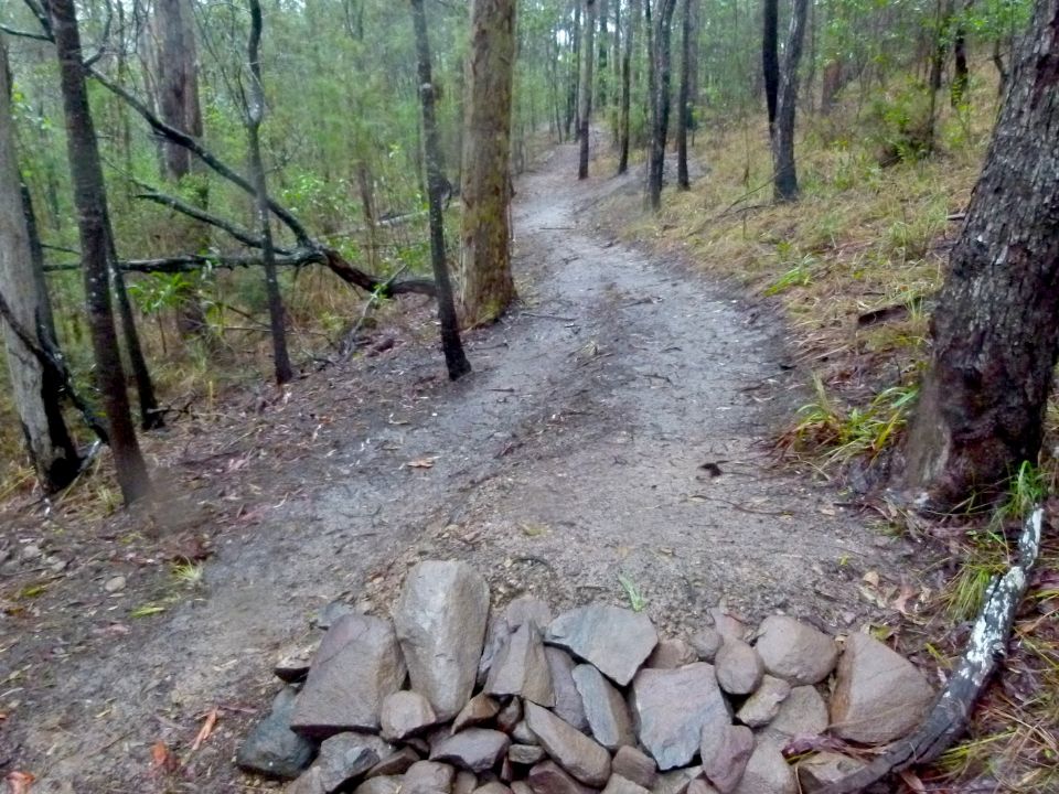New trail doing OK in bad weather