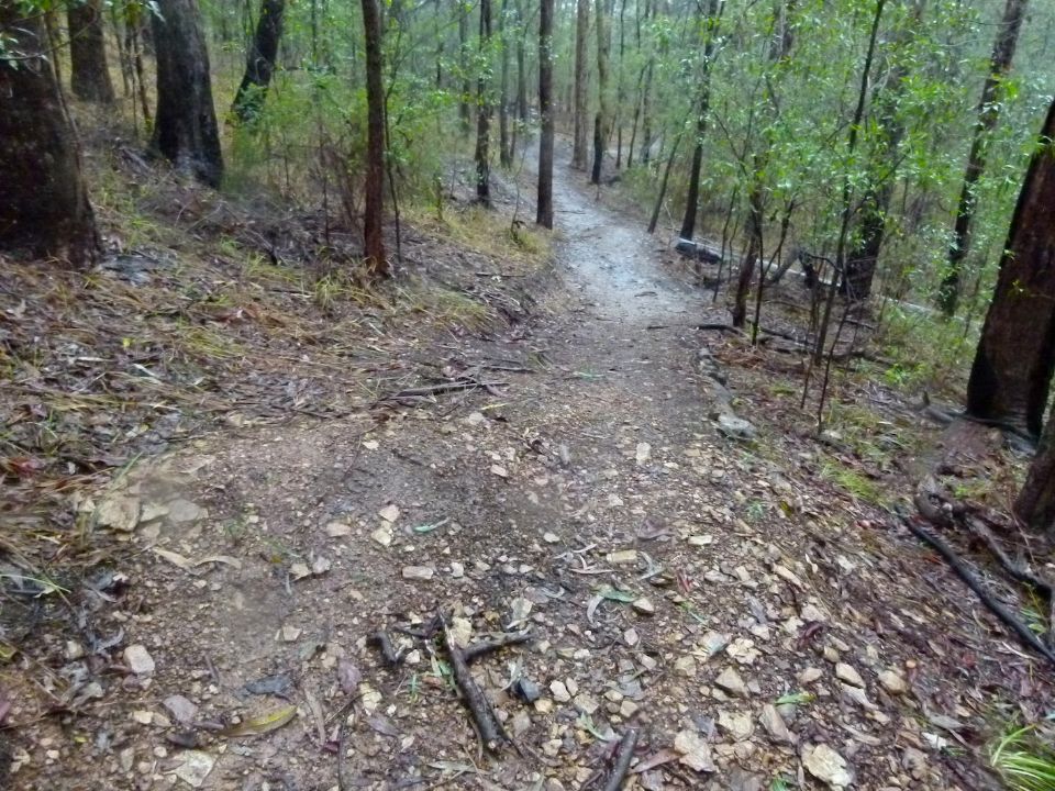 Wind debris worse than rain effect