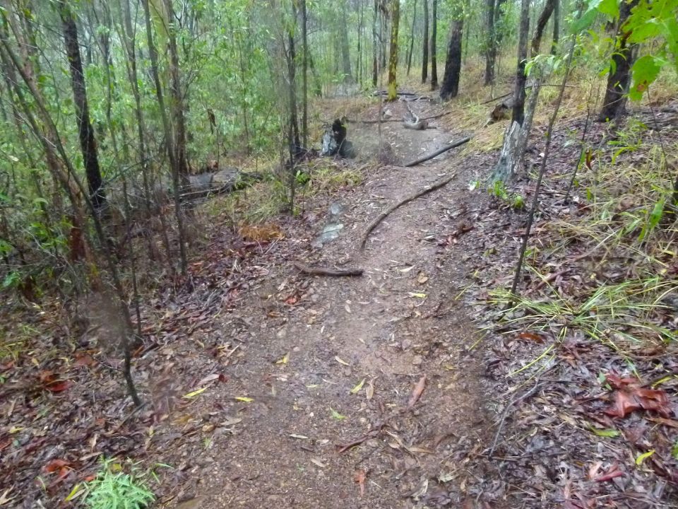 Very recent trail construction after rain