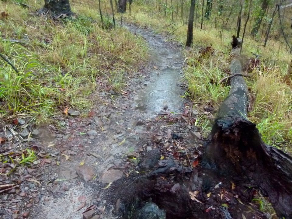 Everyday puddle