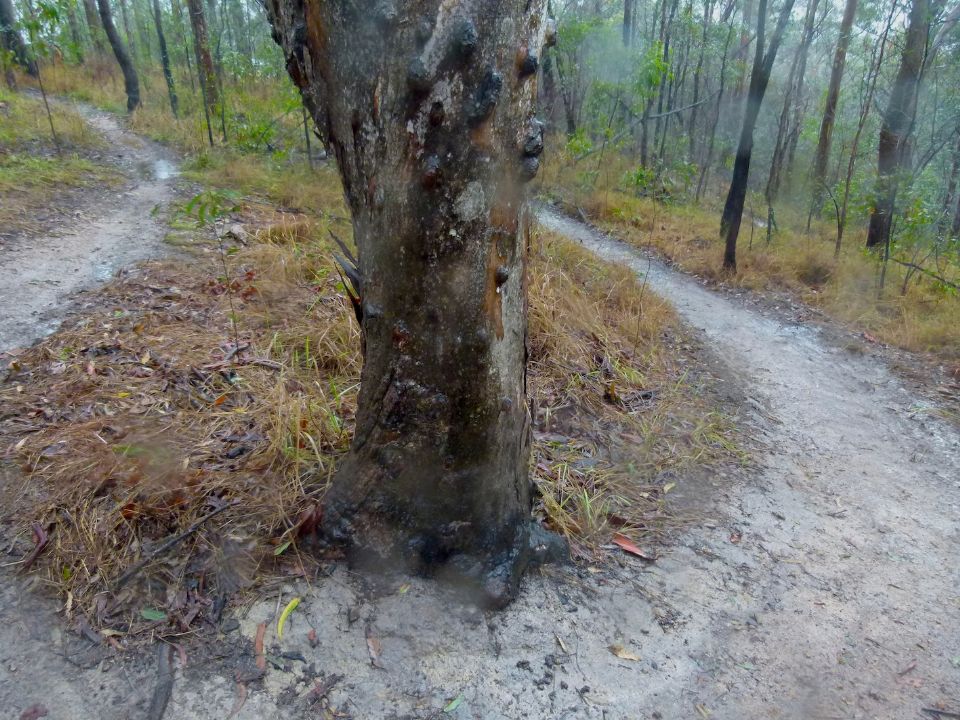 No water runs through this turn now