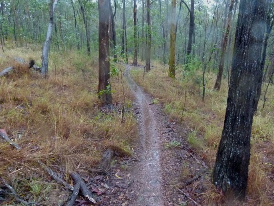 Trail cupping without rolling grade dips