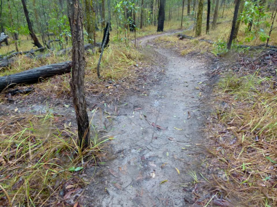 Drain takes water away from a falline section