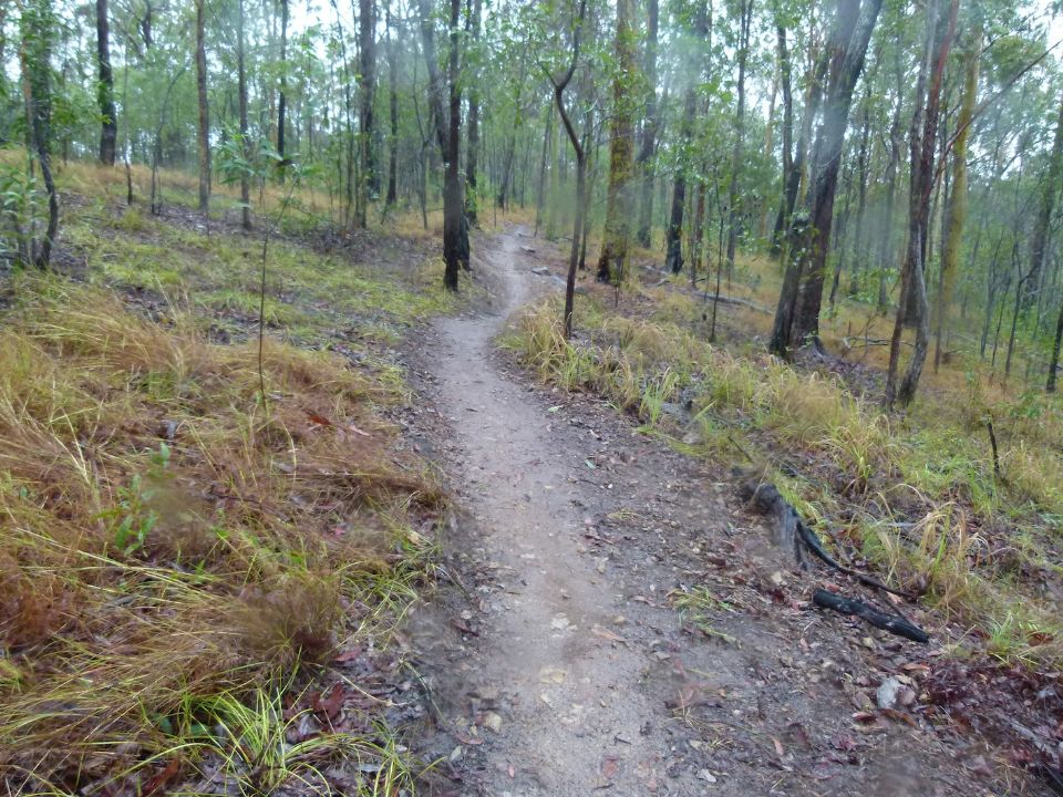 First rain on new section from below