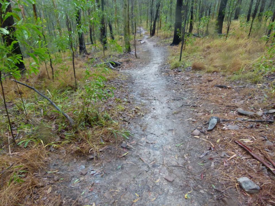 Water sheeting and draining from new work on Pete's Trail
