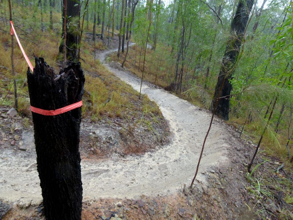 Looking to the new drain