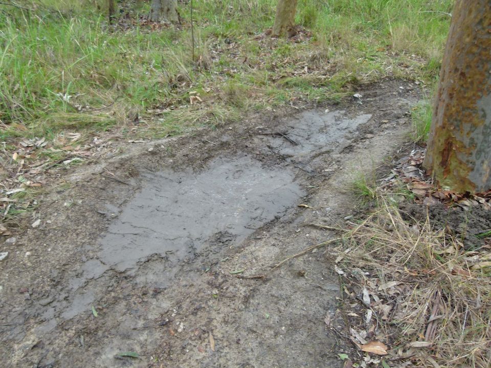 We see this as something to avoid.  Everyone else will ride through the bog