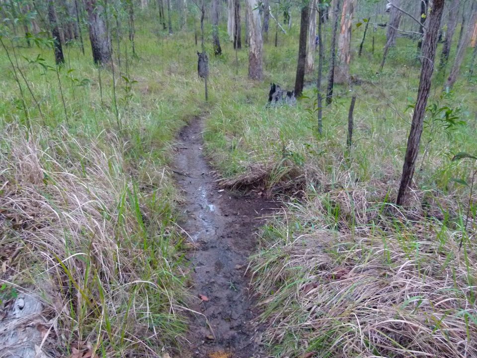 A simple drain