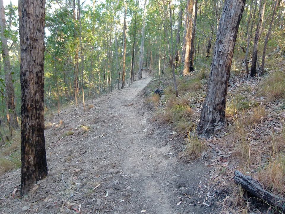 Benching up toward a pinch between trees
