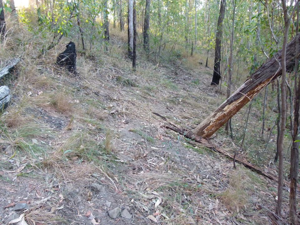 A partially fallen tree and steep drainages to deal with here