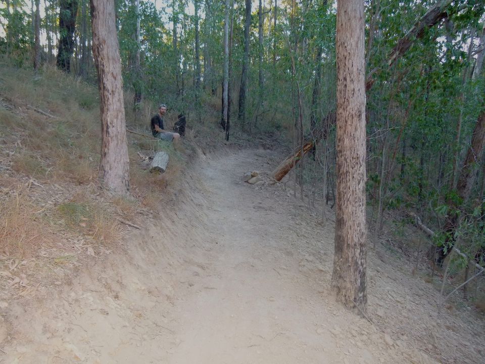 Extensive excavation to bench a low point between trees