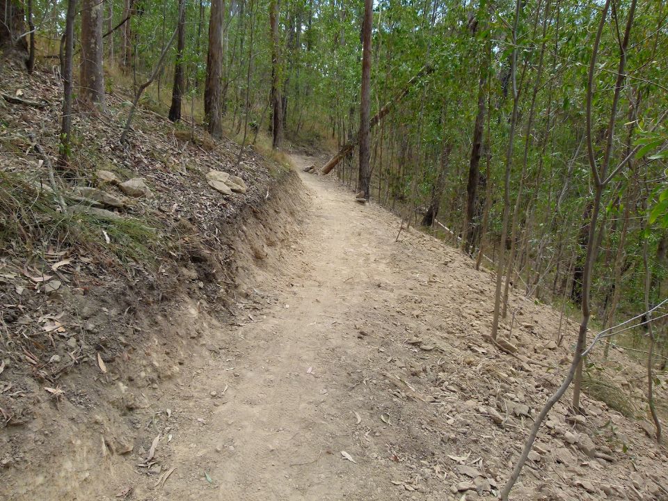 Past the milestone tree and going up