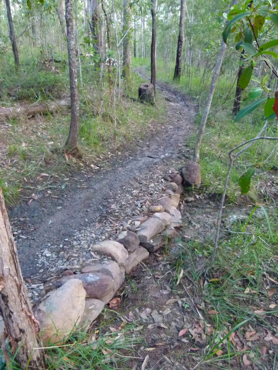Was a boggy seasonal creek crossing.  Now the only solid section of trail