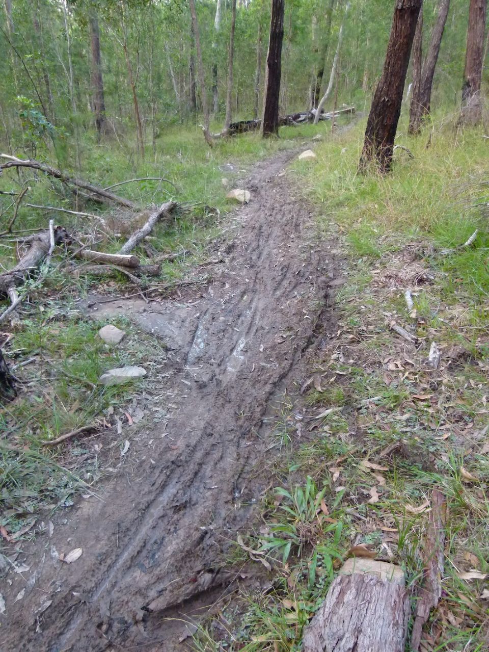 Drain or no drain, this trail is not able to drain