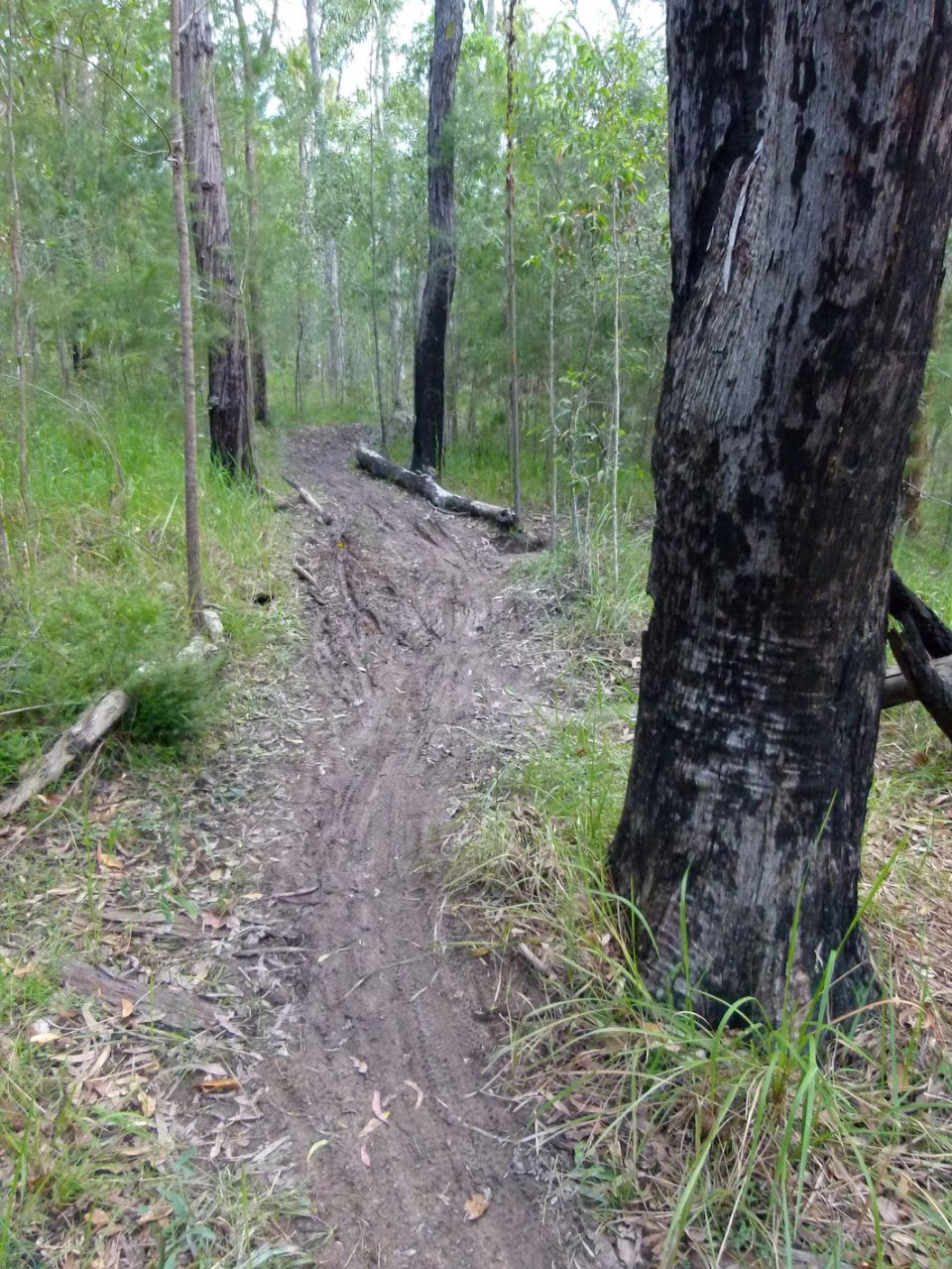 Boggy trail despite best efforts