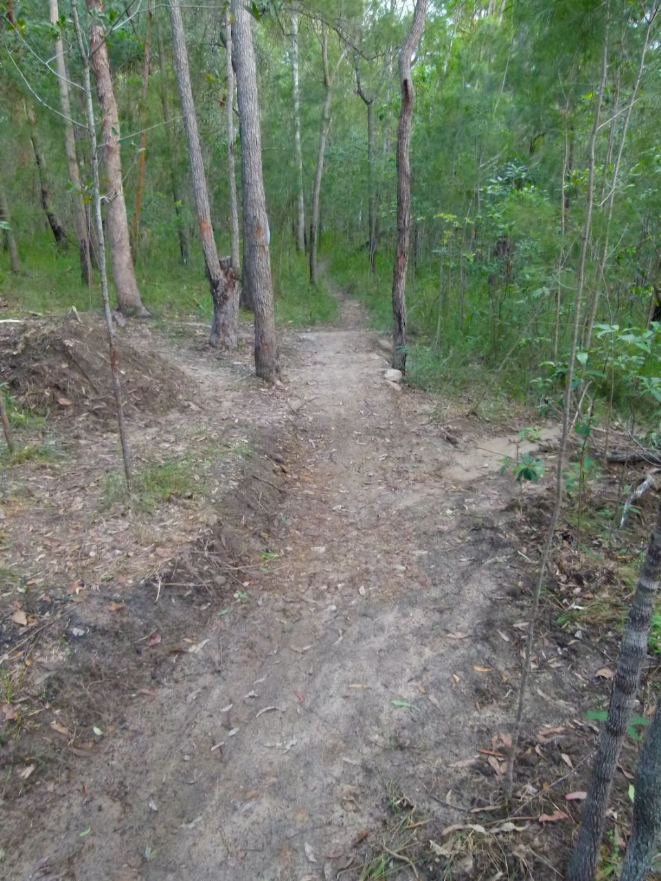 Dry and solid new trail