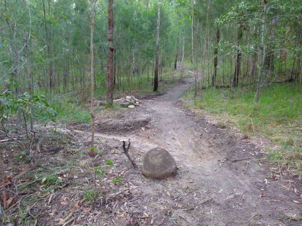 New trail looking OK