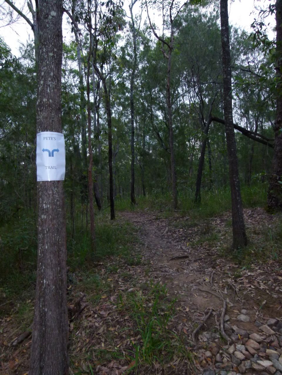 How to find the new bits of Pete's Trail
