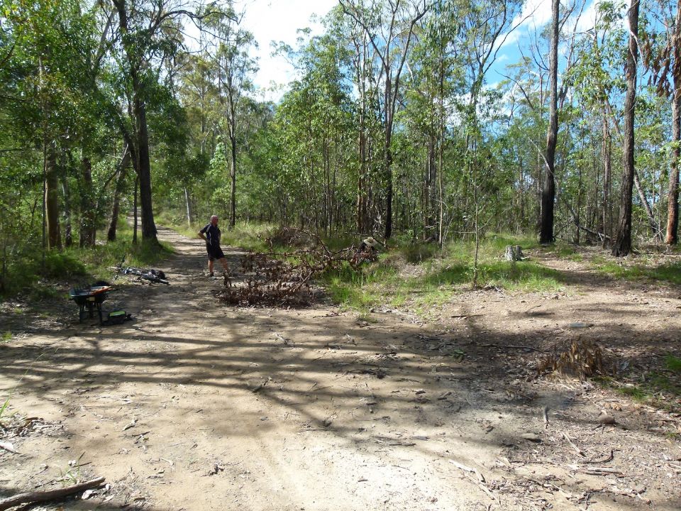 Clearing a fallen tree at a dangerous spot