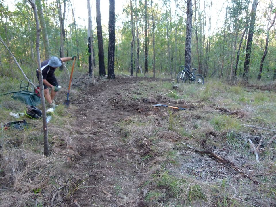 Starting the shaping