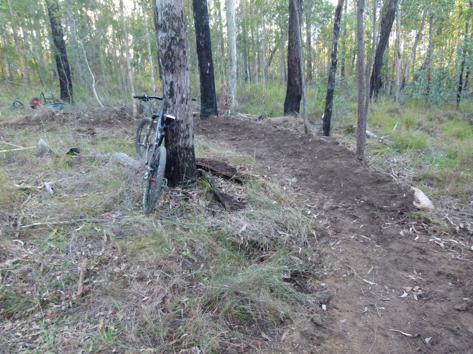 Subtle corraling, transplanted grasses and a climbing berm under construction