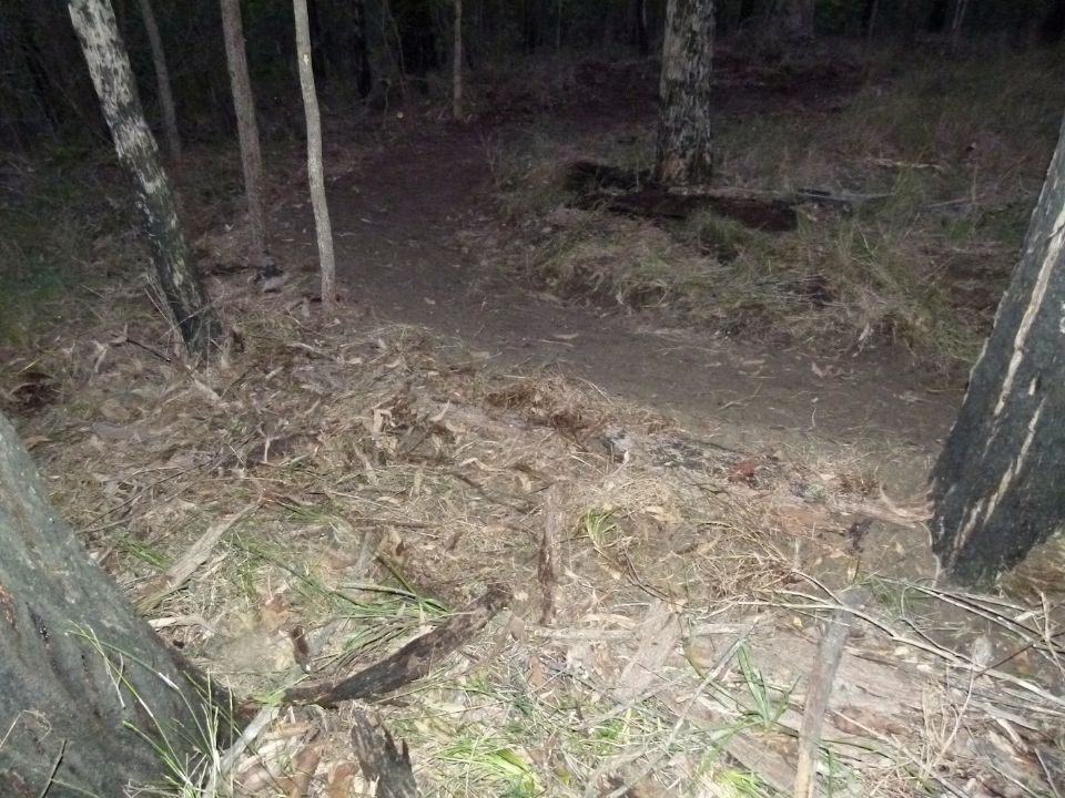 The reinforced back of this berm has added organic debris
