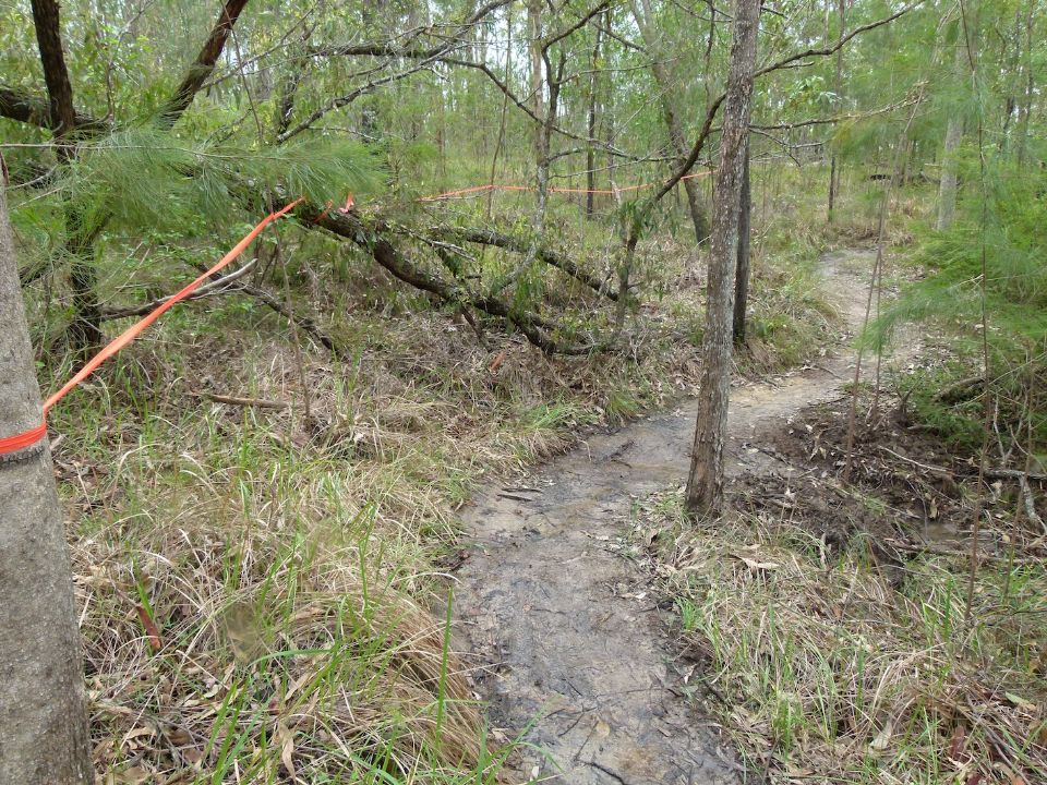 A new trail line will remove flowing water and improve flowing riders