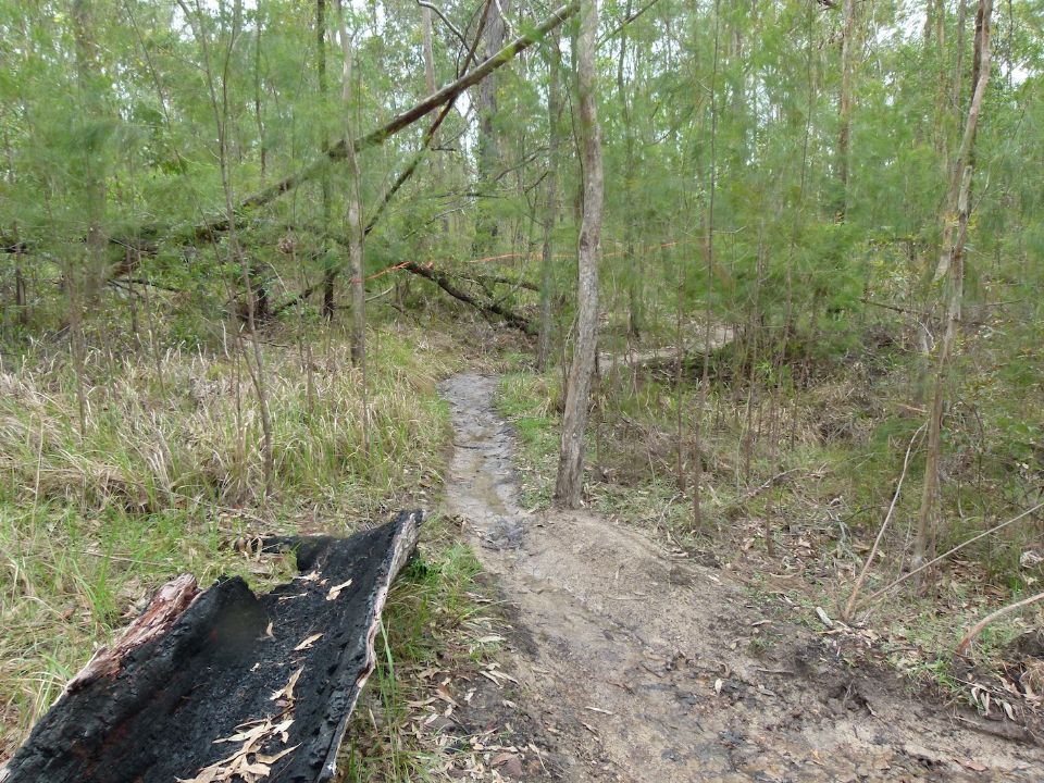The tape is an approximate demonstration of a new trail line