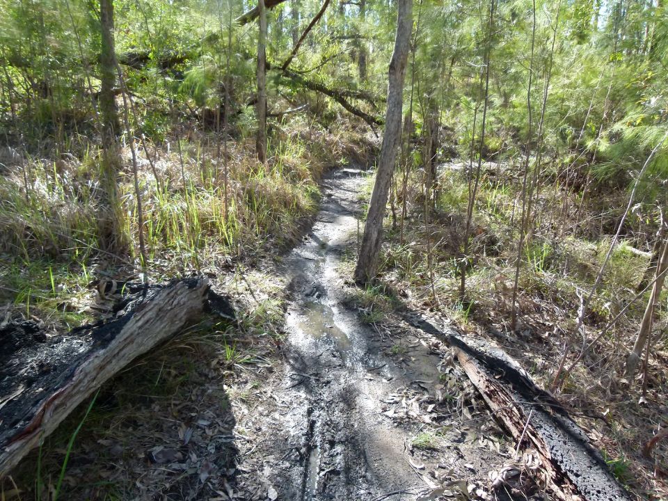 More wet trail