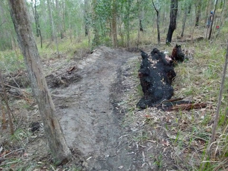Berm drain and optional log ride