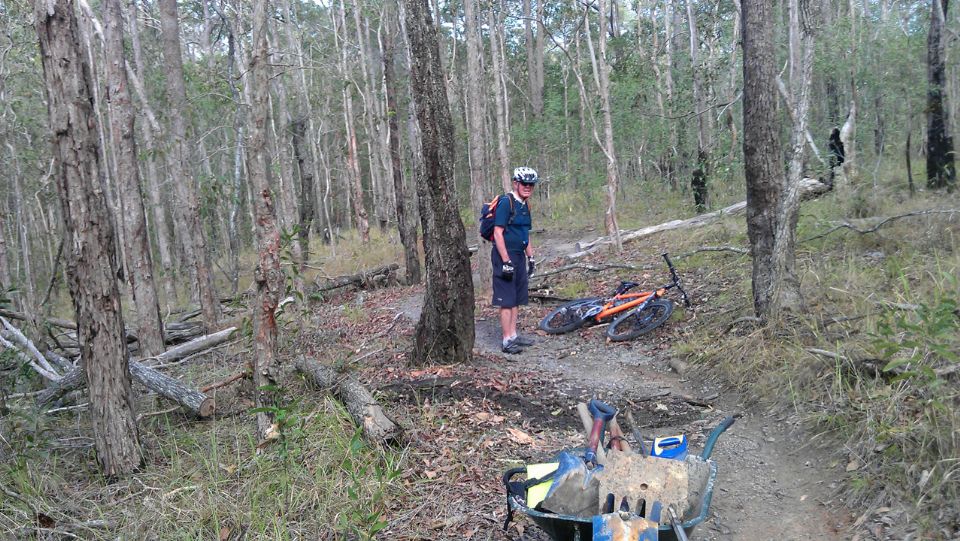 Cut and removed fallen log.