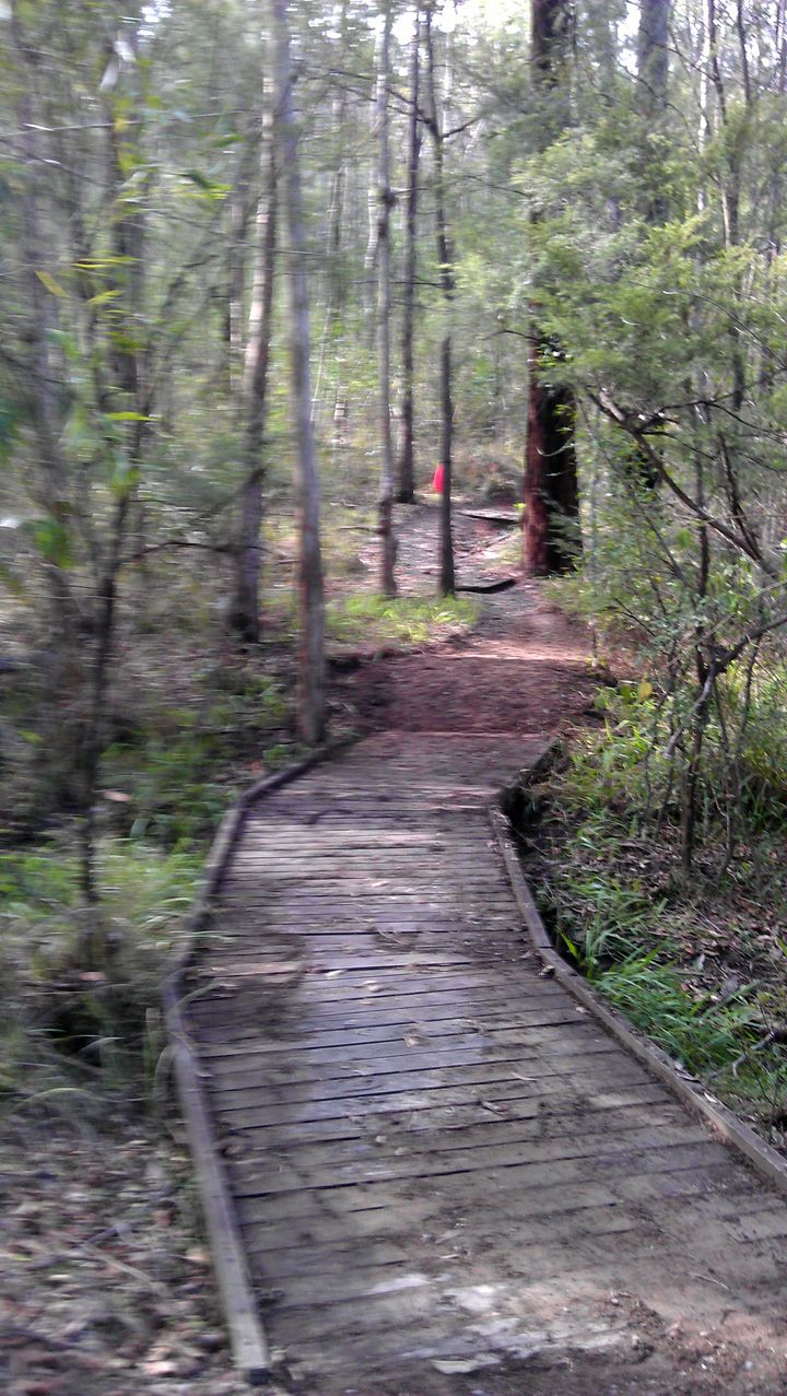 Bridge 1, After