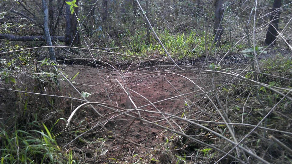 Bridge 1, Drainage