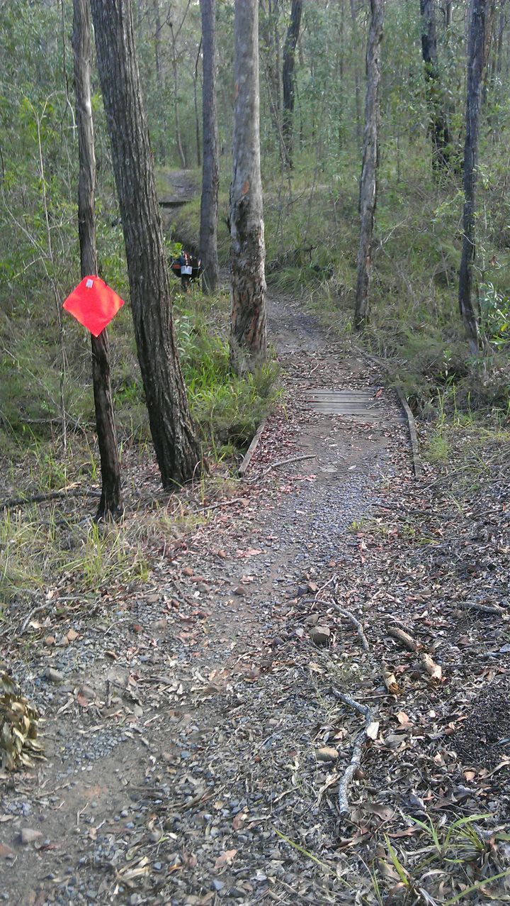 Bridge 2, Before