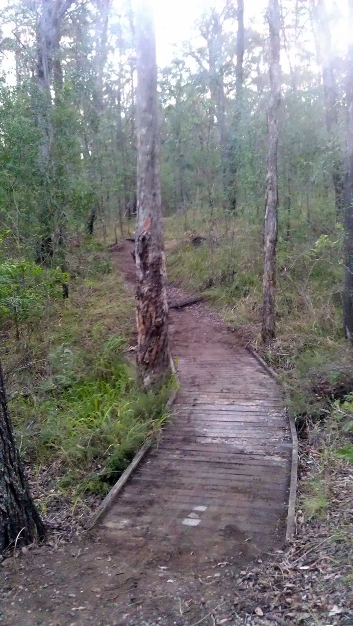 Bridge 2, Clean