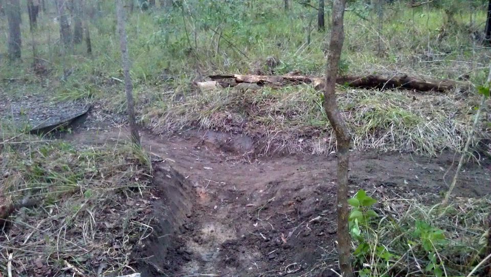 Big log, new home.