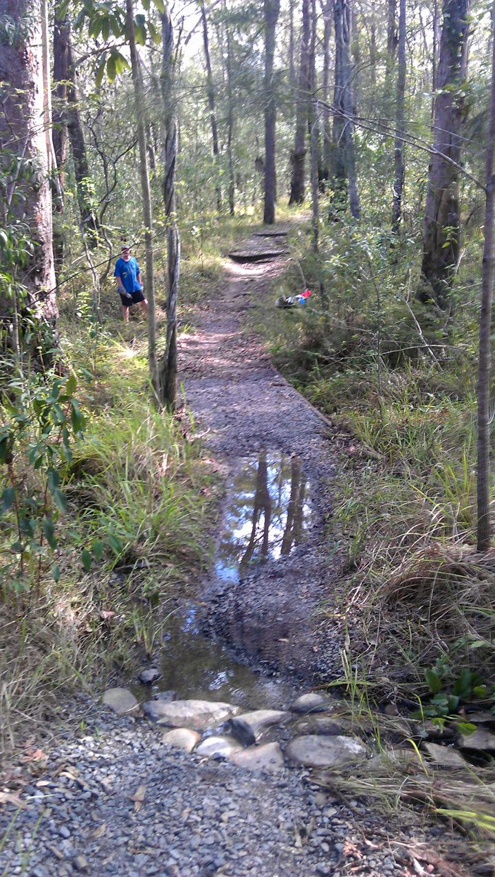 Bridge 3, Before