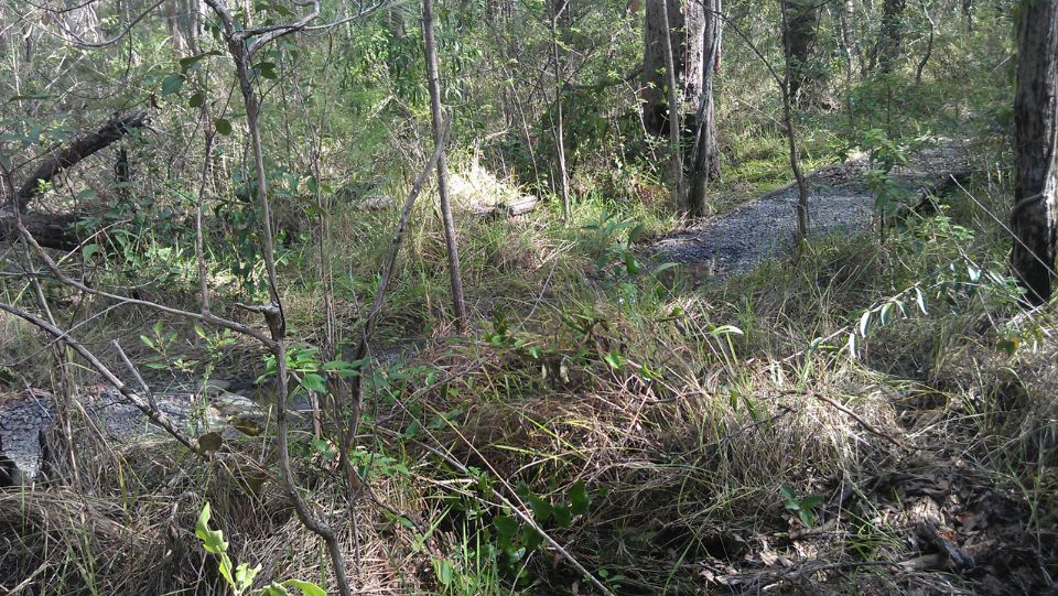 Bridge 3, Creek.