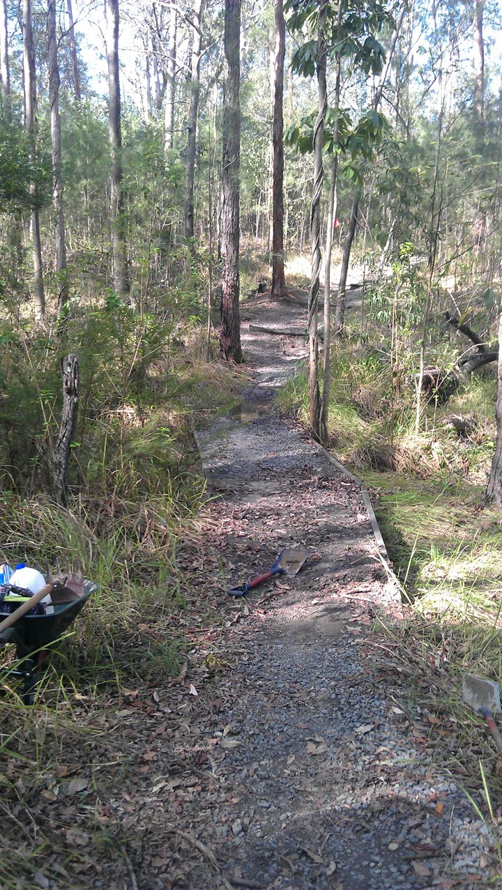 Bridge 3, Before