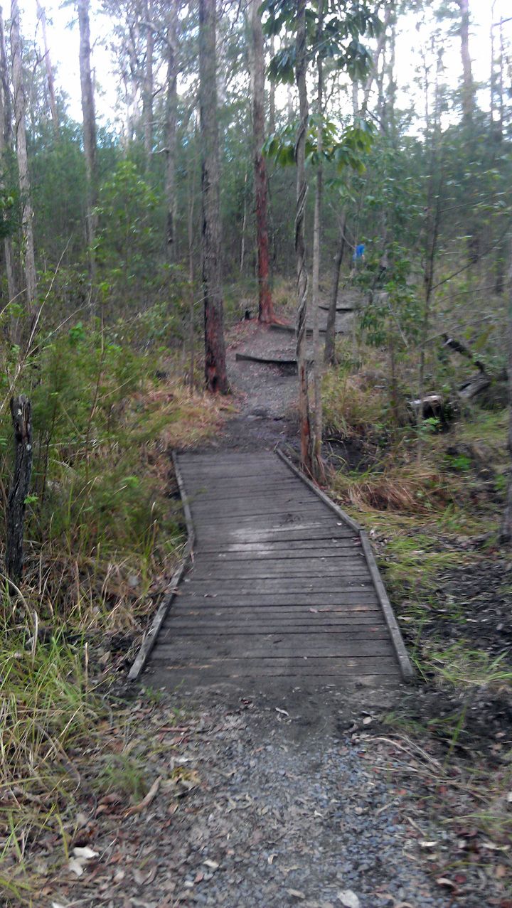 Bridge 3, After