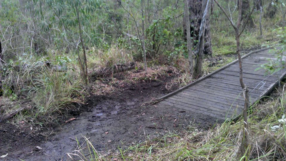 Bridge 3, Unblocked