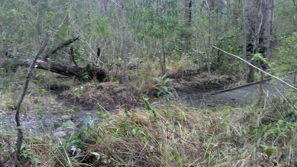 Bridge 3, Drainage
