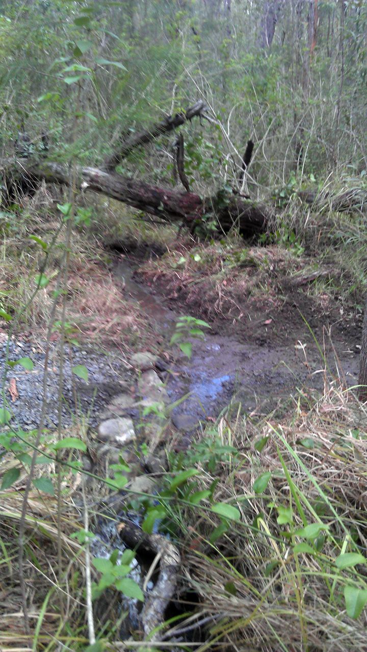 Creek, Drainage