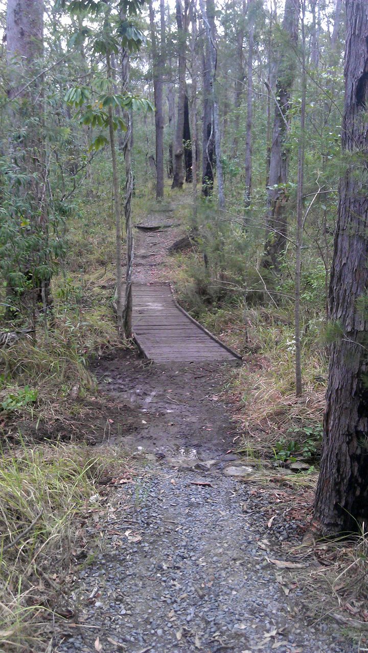Creek, Cleared